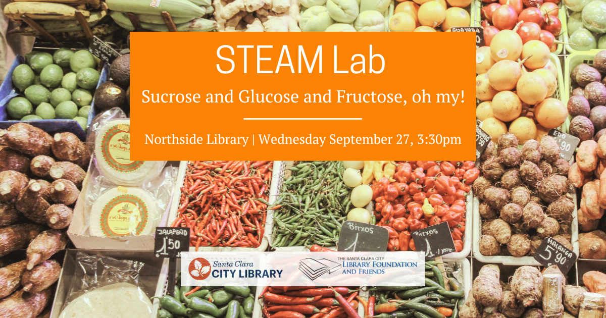 The Foundation and Friends is proud to support the upcoming STEAM Lab: Sucrose and Glucose and Fructose, oh my! held on Wednesday September 7 at 3:30pm at Northside Library.